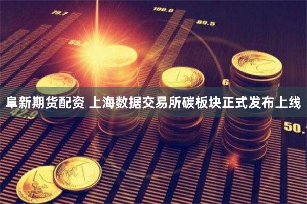 阜新期货配资 上海数据交易所碳板块正式发布上线