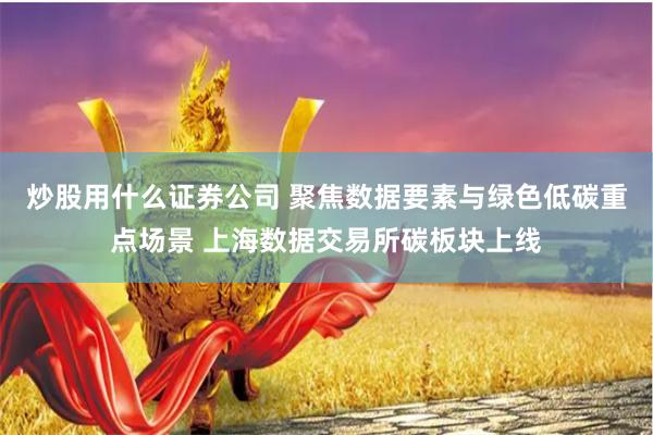 炒股用什么证券公司 聚焦数据要素与绿色低碳重点场景 上海数据交易所碳板块上线