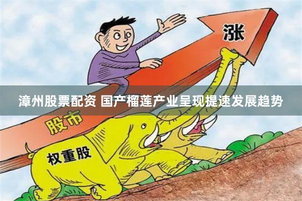 漳州股票配资 国产榴莲产业呈现提速发展趋势