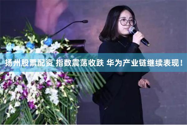 扬州股票配资 指数震荡收跌 华为产业链继续表现！