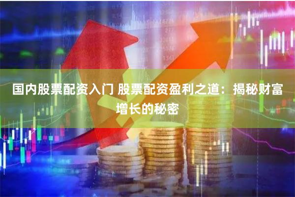 国内股票配资入门 股票配资盈利之道：揭秘财富增长的秘密