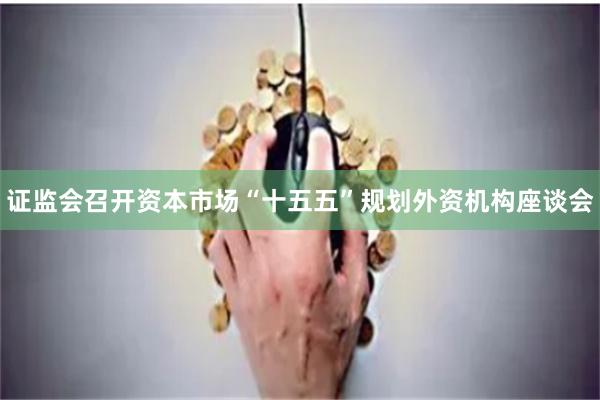 证监会召开资本市场“十五五”规划外资机构座谈会