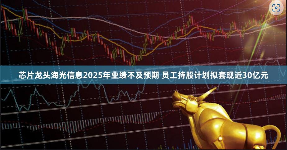 芯片龙头海光信息2025年业绩不及预期 员工持股计划拟套现近30亿元