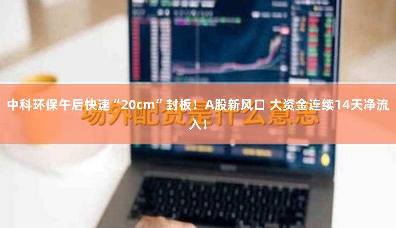 中科环保午后快速“20cm”封板！A股新风口 大资金连续14天净流入！