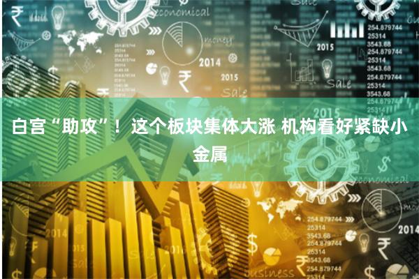 白宫“助攻”！这个板块集体大涨 机构看好紧缺小金属