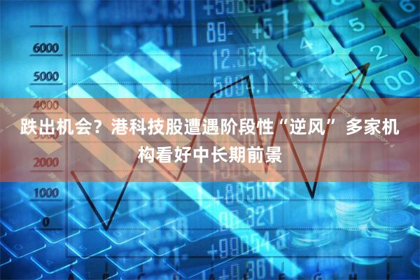 跌出机会？港科技股遭遇阶段性“逆风” 多家机构看好中长期前景